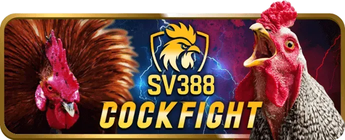 So sánh x1vn với đối thủ